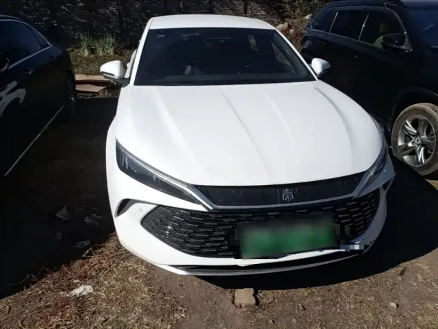 BYD Qin L — Фото автомобиля 2
