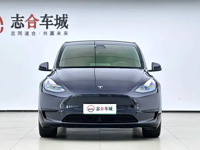 Tesla Model Y — Фото автомобиля 10