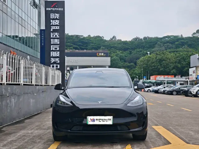 Tesla Model Y — Фото автомобиля 2