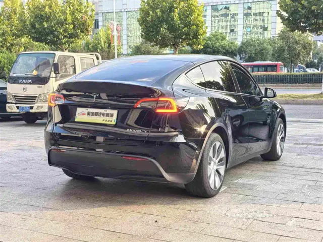 Tesla Model Y — Фото автомобиля 7