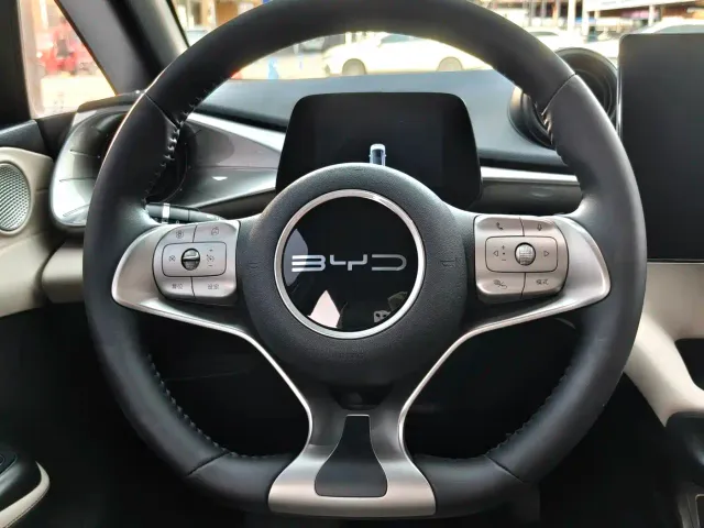 BYD Dolphin — Фото автомобиля 8