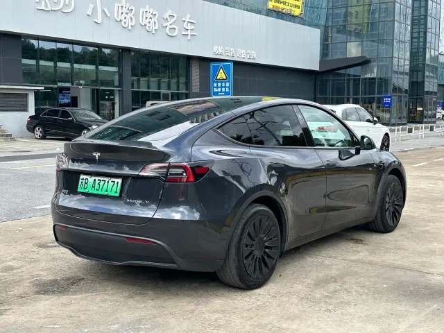 Tesla Model Y — Фото автомобиля 3