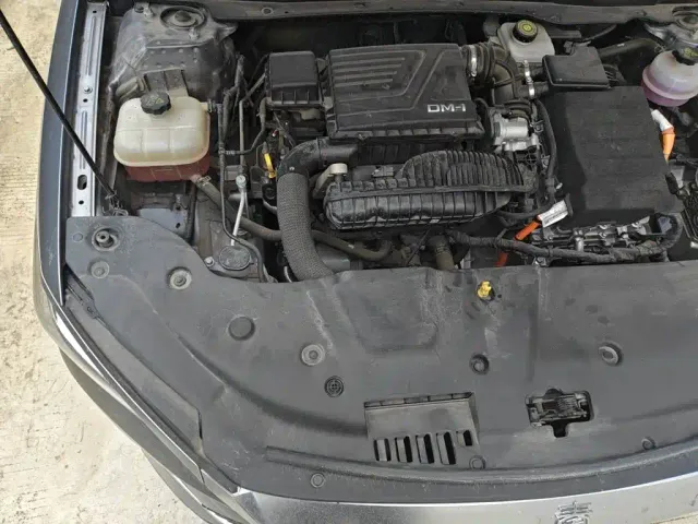 BYD Qin PLUS — Фото автомобиля 21