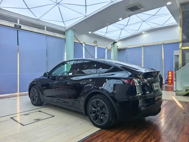 Tesla Model Y — Фото автомобиля 16
