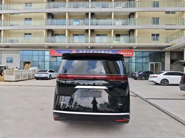 Denza D9 — Фото автомобиля 4