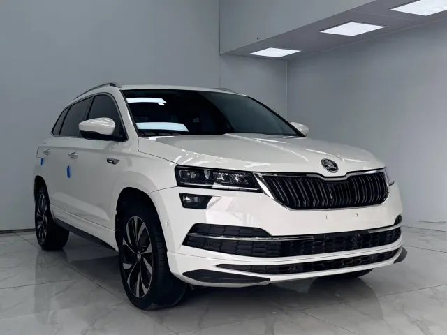 Skoda Karoq — Фото автомобиля 3