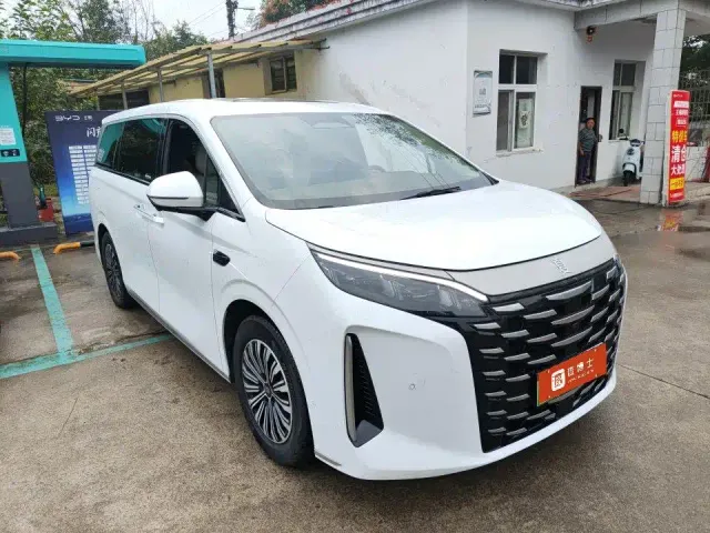 BYD Xia — Фото автомобиля 2