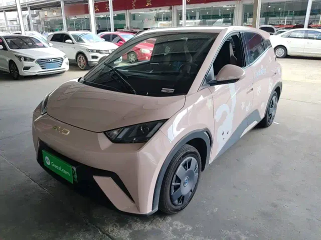 Фотография автомобиля — BYD Seagull