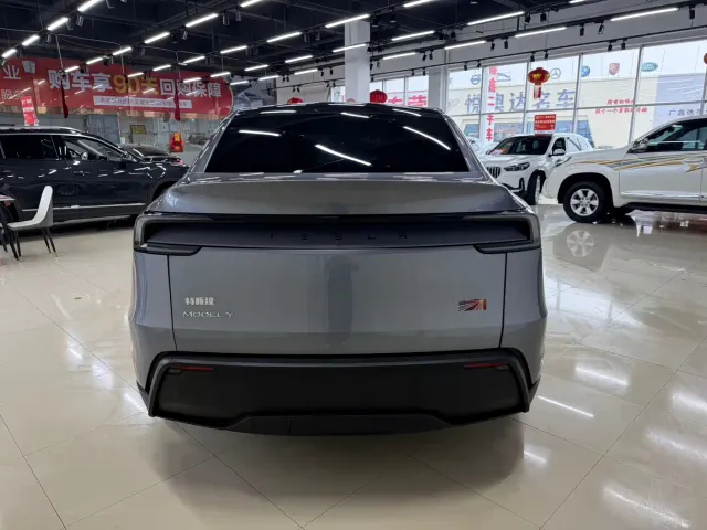 Tesla Model Y — Фото автомобиля 4