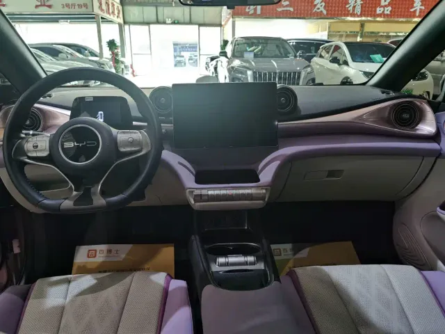 BYD Dolphin — Фото автомобиля 6