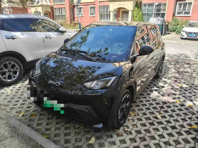 Фотография автомобиля — BYD Seagull