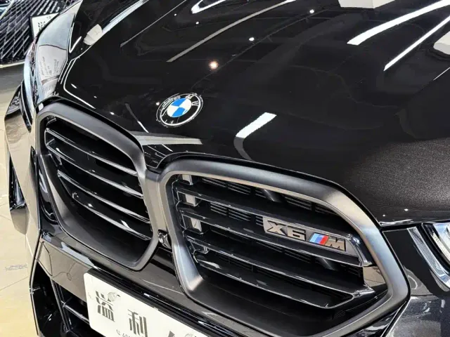BMW X6 M — Фото автомобиля 6