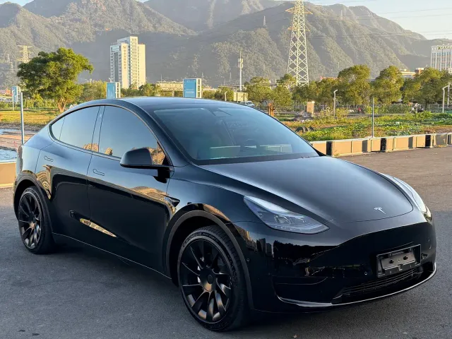 Tesla Model Y — Фото автомобиля 3