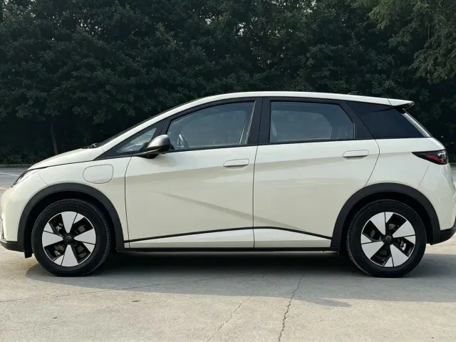 BYD Dolphin — Фото автомобиля 6