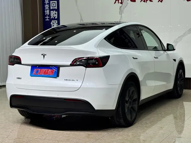 Tesla Model Y — Фото автомобиля 6