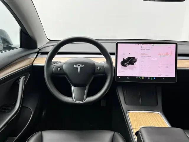 Tesla Model 3 — Фото автомобиля 19