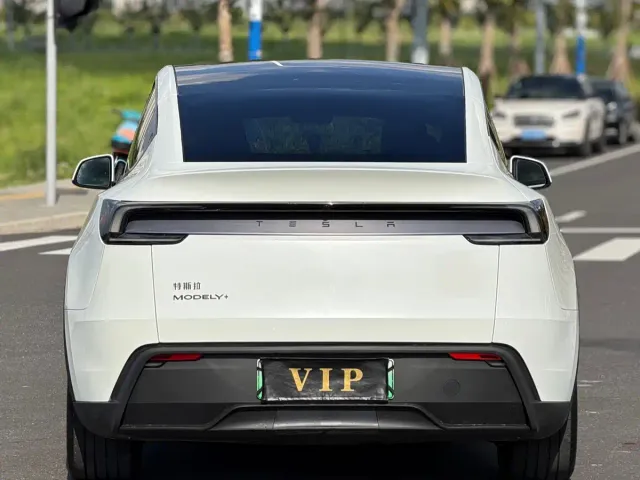 Tesla Model Y — Фото автомобиля 9