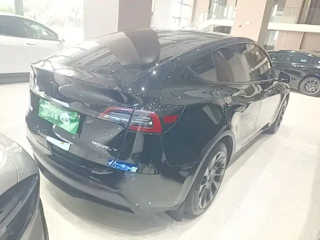 Tesla Model Y — Фото автомобиля 6