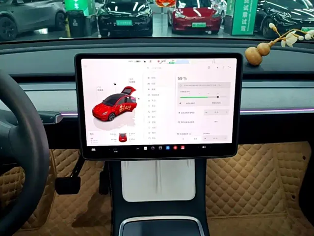 Tesla Model Y — Фото автомобиля 12