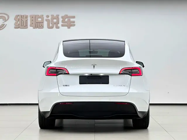 Tesla Model Y — Фото автомобиля 16
