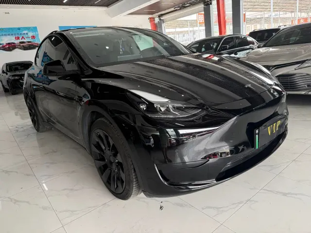 Tesla Model Y — Фото автомобиля 3