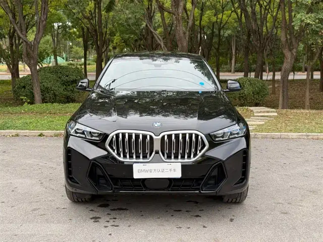 BMW X6 — Фото автомобиля 2