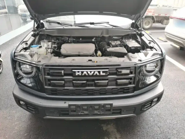 Haval Big Dog — Фото автомобиля 19