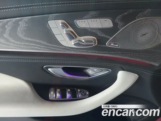Mercedes-Benz AMG GT X290 (2018–2026) — Фото автомобиля 10