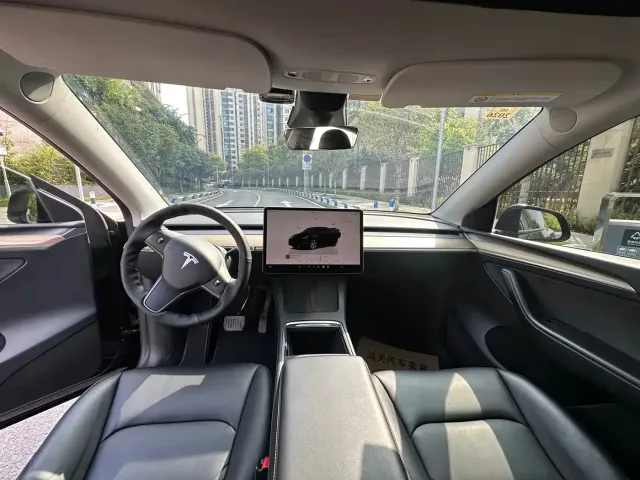 Tesla Model Y — Фото автомобиля 11