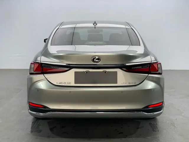 Lexus Lexus ES 2022 200 Excellence Edition — Фото автомобиля 6