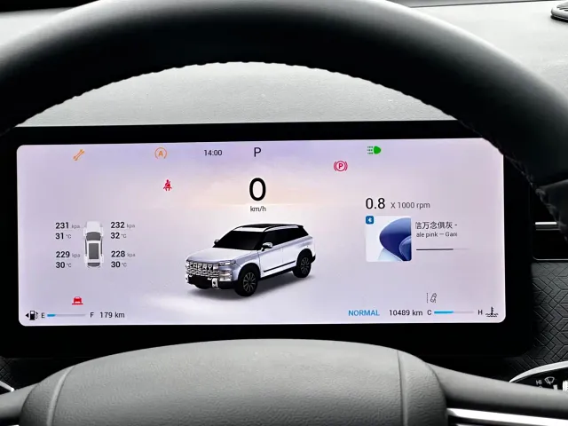 Chery Tansuo 06 — Фото автомобиля 13