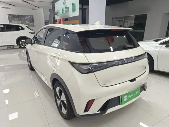 BYD Dolphin — Фото автомобиля 4