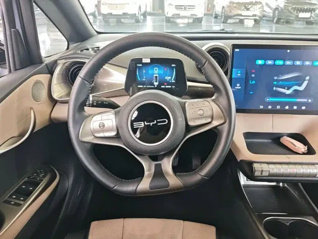 BYD Dolphin — Фото автомобиля 10