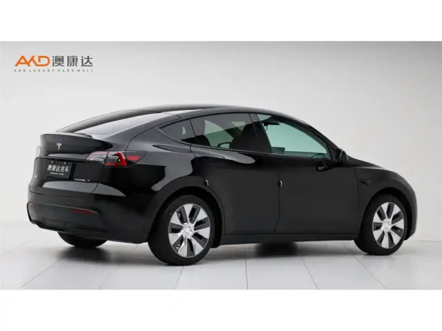 Tesla Model Y — Фото автомобиля 3
