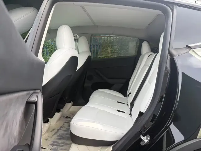 Tesla Model Y — Фото автомобиля 10