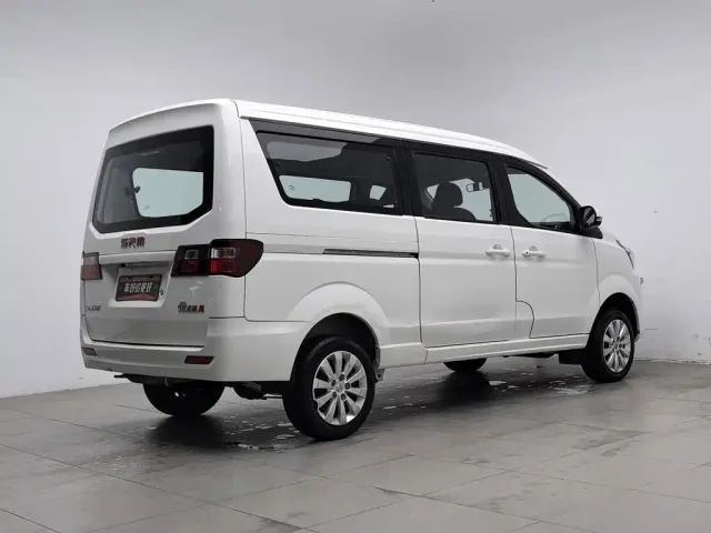 Jinbei Golden Sea Lion M Classic — Фото автомобиля 2