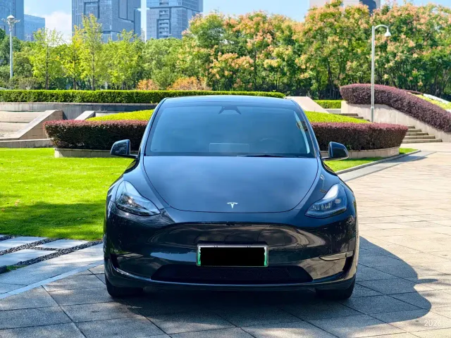Tesla Model Y — Фото автомобиля 2