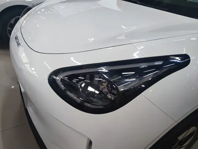 Geely Starry Wish — Фото автомобиля 13
