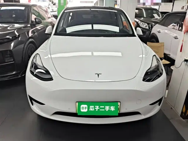 Tesla Model Y — Фото автомобиля 2