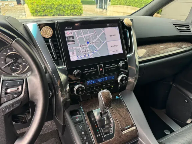 Toyota Alphard — Фото автомобиля 13