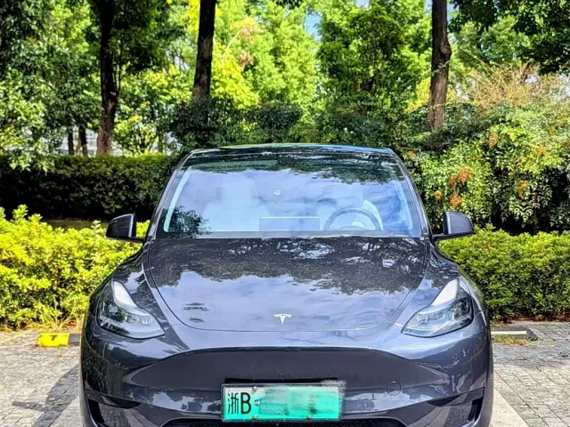 Tesla Model Y — Фото автомобиля 13