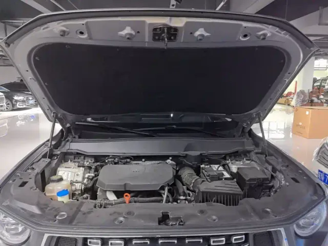 Haval Big Dog — Фото автомобиля 19