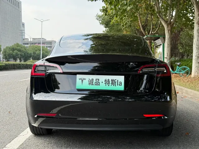 Tesla Model 3 — Фото автомобиля 4