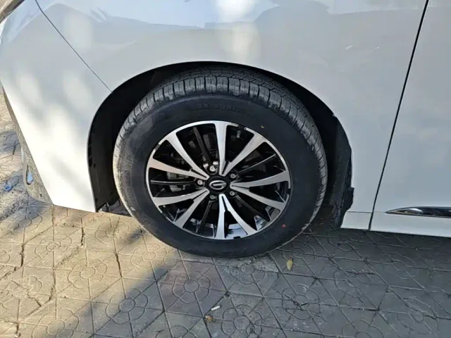 GAC Trumpchi M8 — Фото автомобиля 22