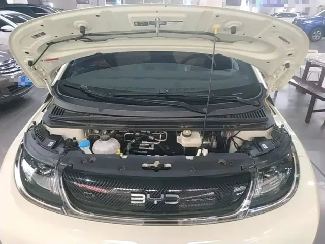BYD Dolphin — Фото автомобиля 19