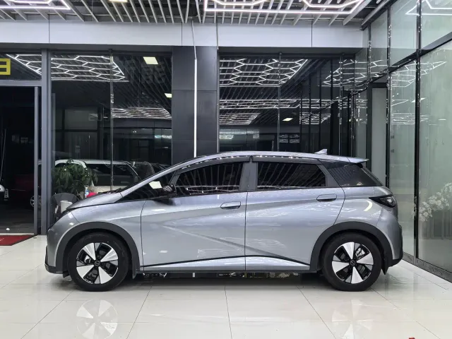 BYD Dolphin — Фото автомобиля 4