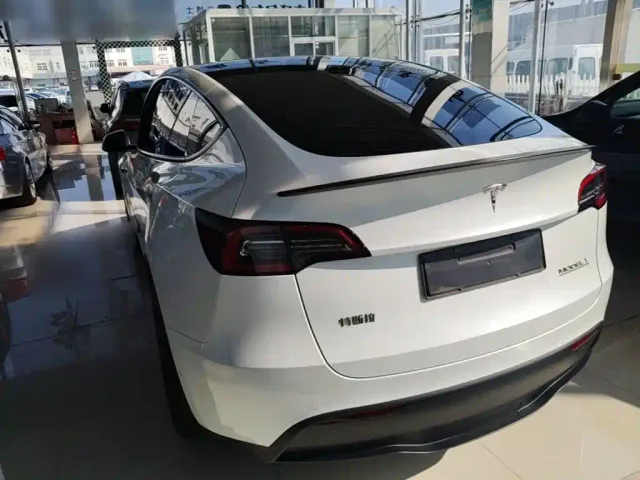 Tesla Model Y — Фото автомобиля 4