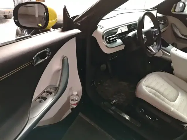 smart smart Elf #1 2023 Model Pro Edition — Фото автомобиля 15