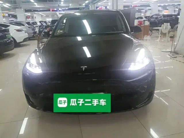 Tesla Model Y — Фото автомобиля 2