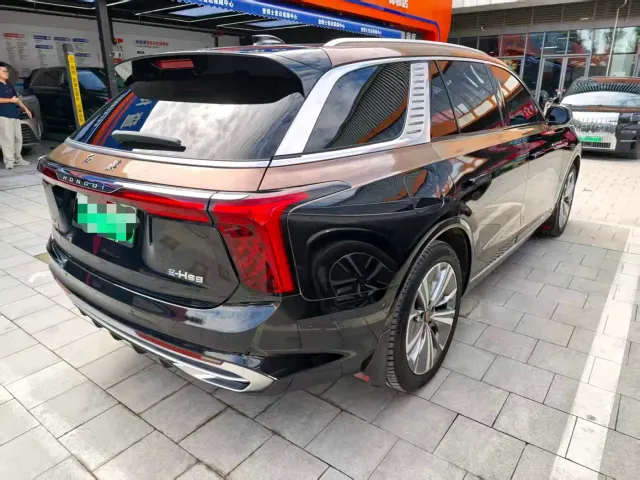 Hongqi E-HS9 — Фото автомобиля 12